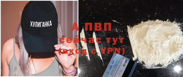 соль ск Надым