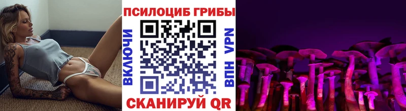 купить наркоту  Ревда  Псилоцибиновые грибы Magic Shrooms 